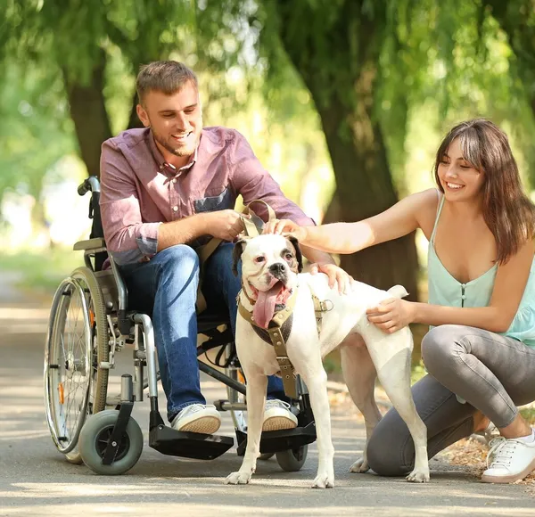 A caregiver embracing a senior couple, one of whom uses a wheelchair, in a warm home setting