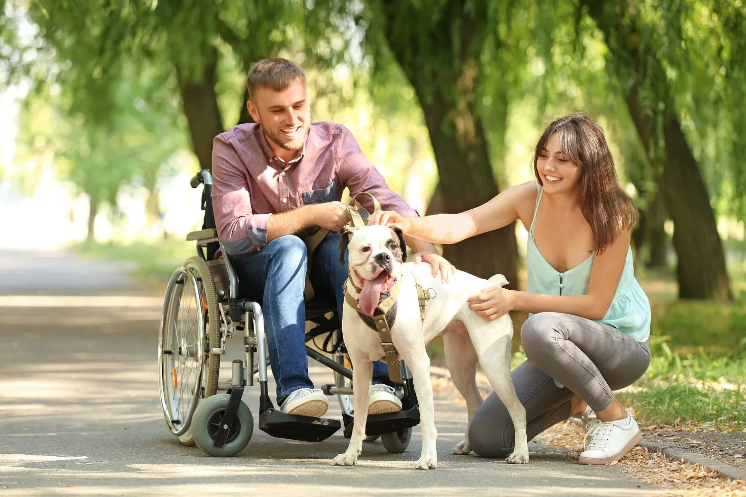 A young man using a wheelchair smiling outdoors with his wife and dog on a tree-lined path